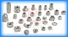 Stainless Steel Nuts 200  201  665  667  304  304HC  316  316L